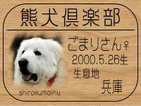 buhiyamasan�̂a�k�n�f�ւf�n�I